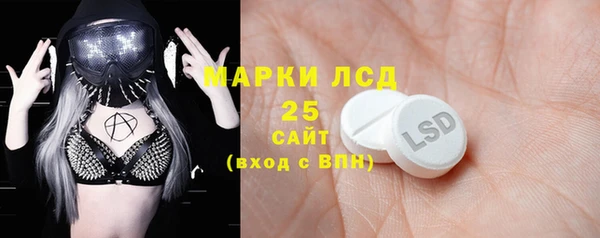 шишки Лабытнанги