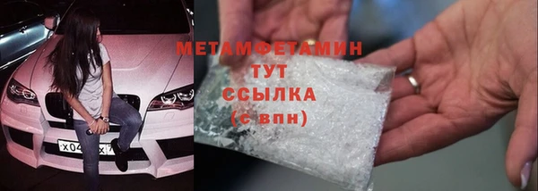 шишки Лабытнанги