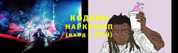 шишки Лабытнанги