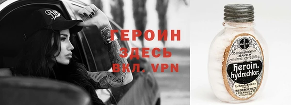 шишки Лабытнанги