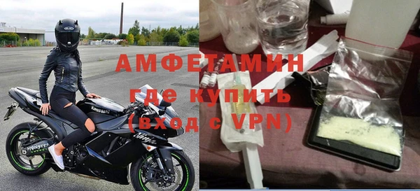 шишки Лабытнанги