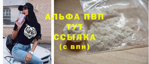 шишки Лабытнанги