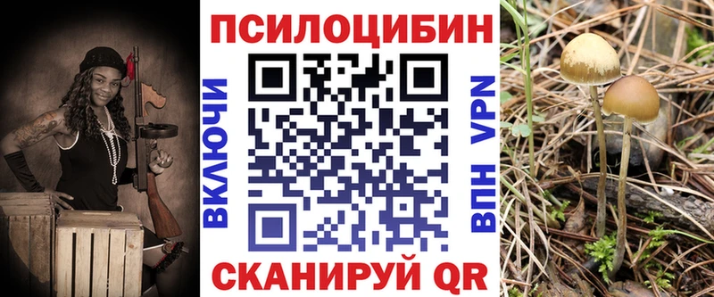 Псилоцибиновые грибы ЛСД  купить  сайты  Уяр 